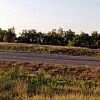 В Волгоградской области в ДТП разбилась семья, в том числе беременная женщина и 6-летняя девочка